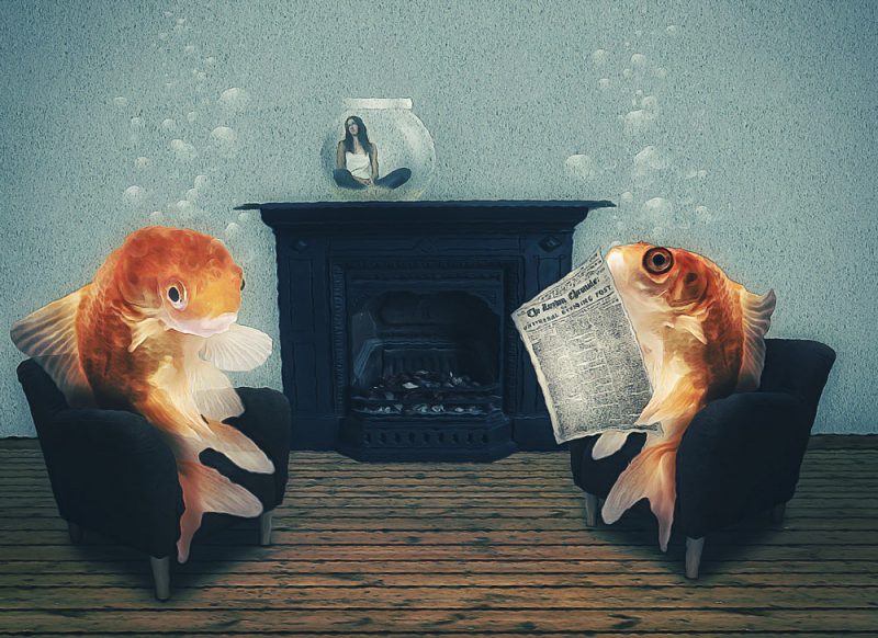 Wenn Fische die Welt regierten…