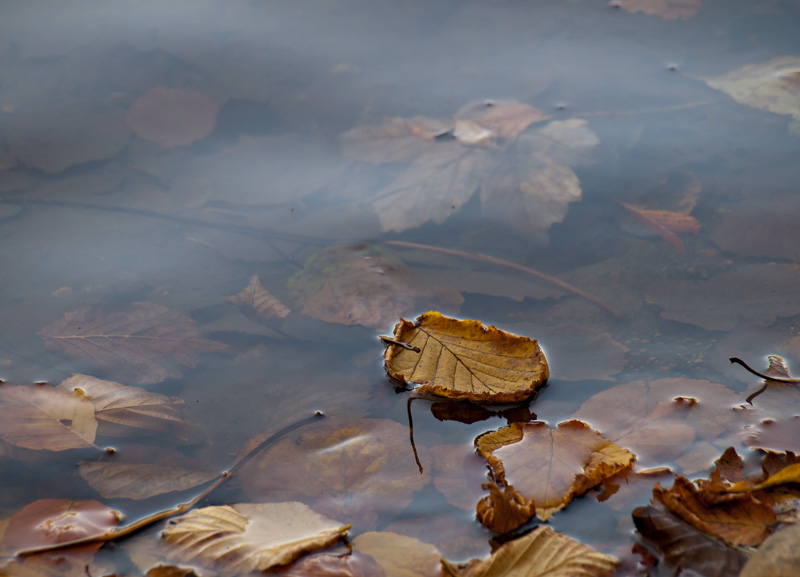 Der Herbst ist da