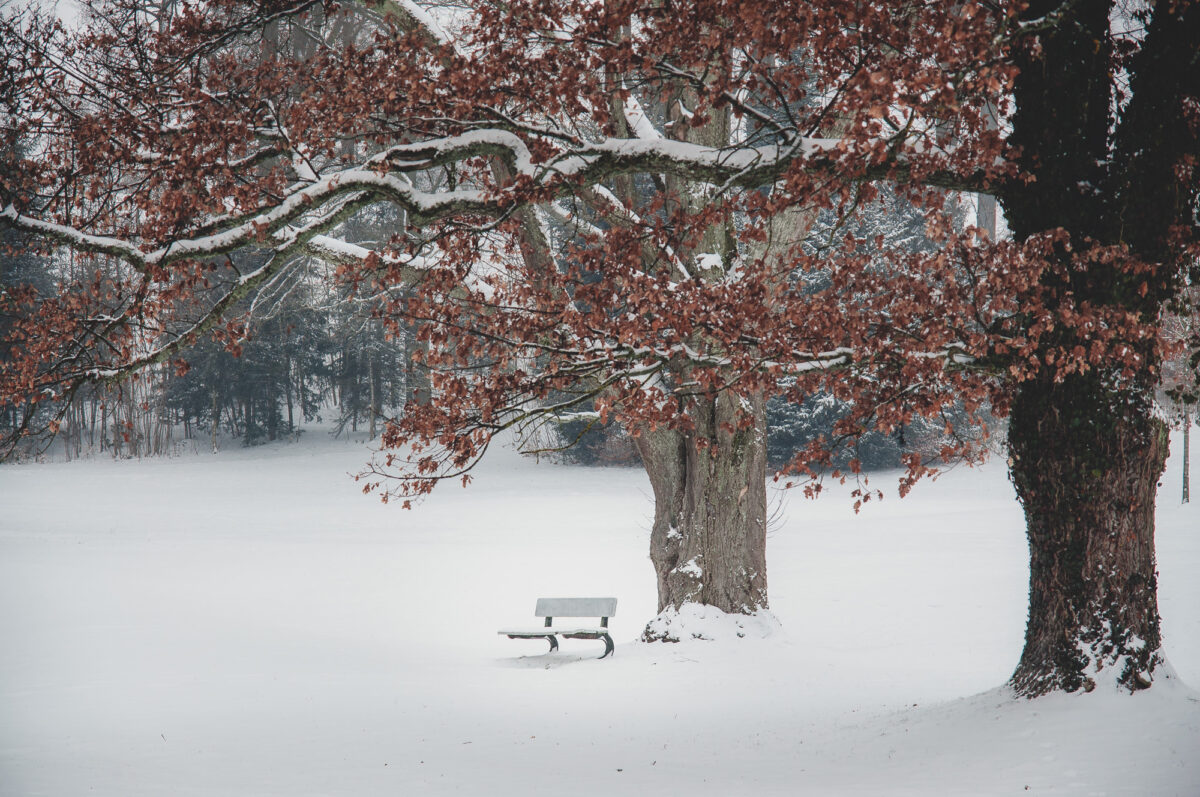 Winter in Tutzing