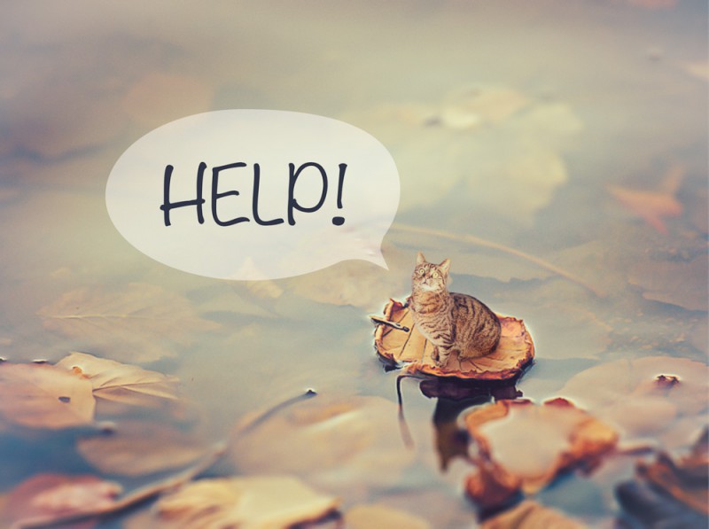 Composing "Help"