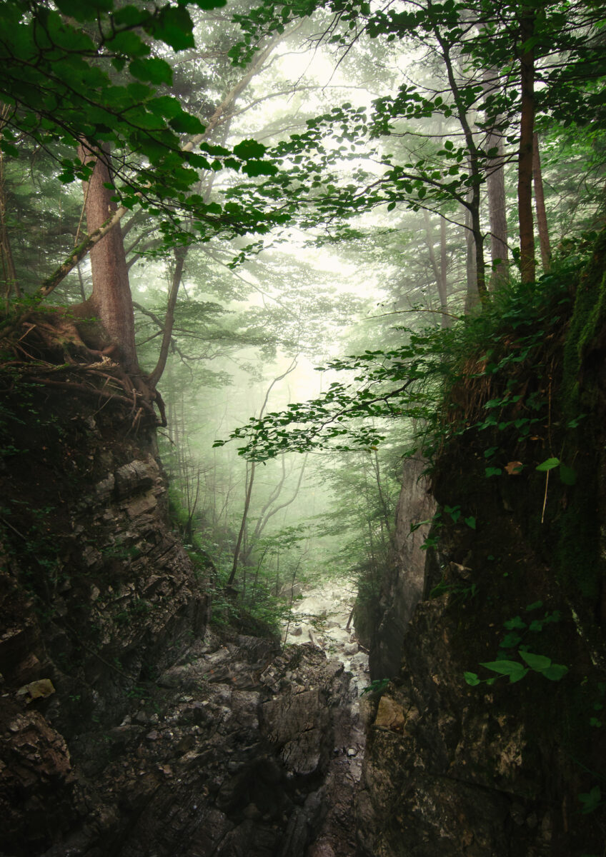 Lainbachfälle im Nebel