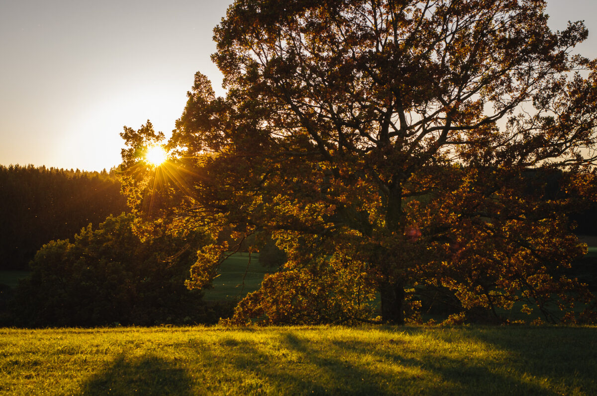 Herbst am Baderbichl nahe Tutzing