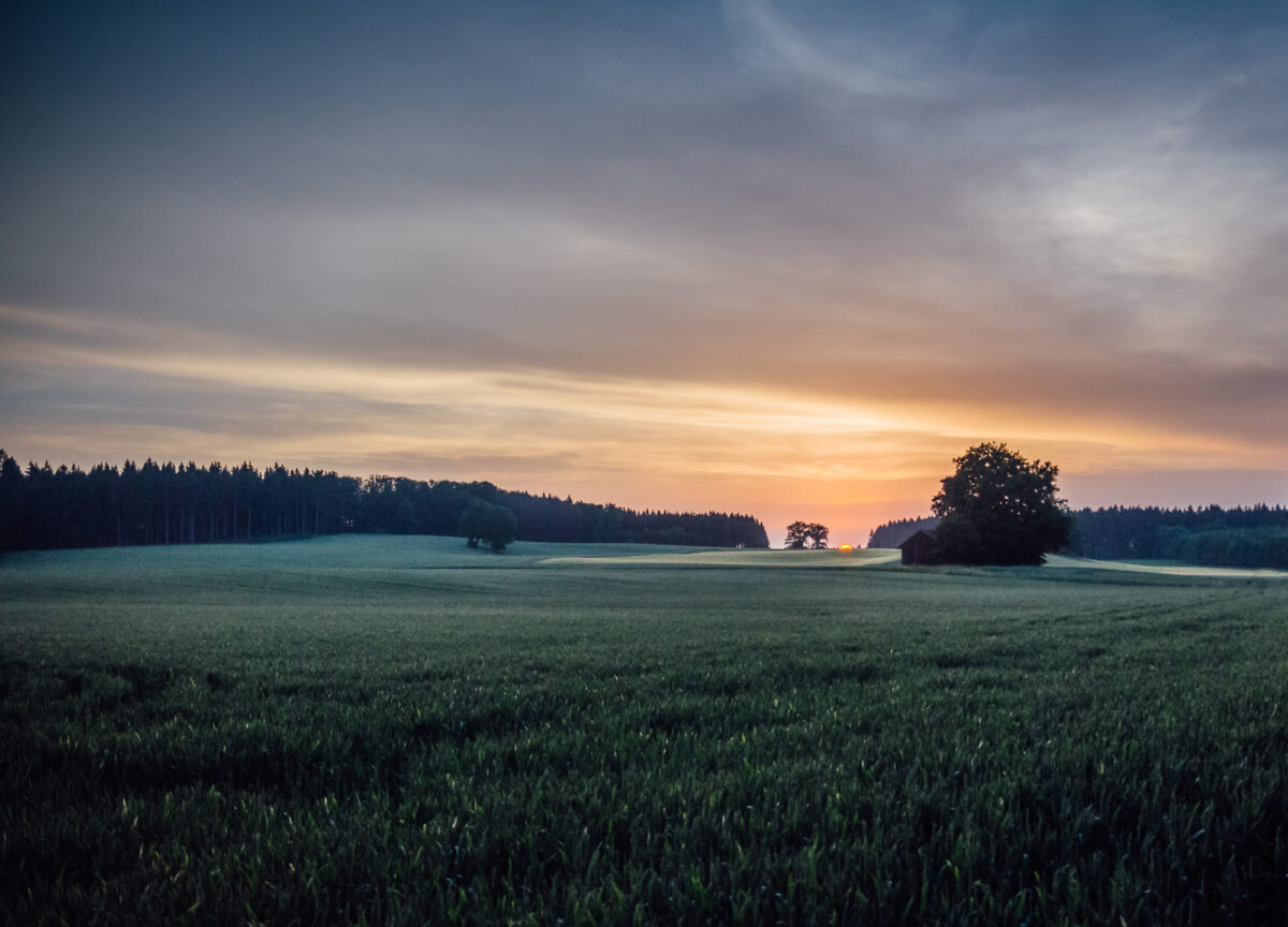 Abenddämmerung im Sommer