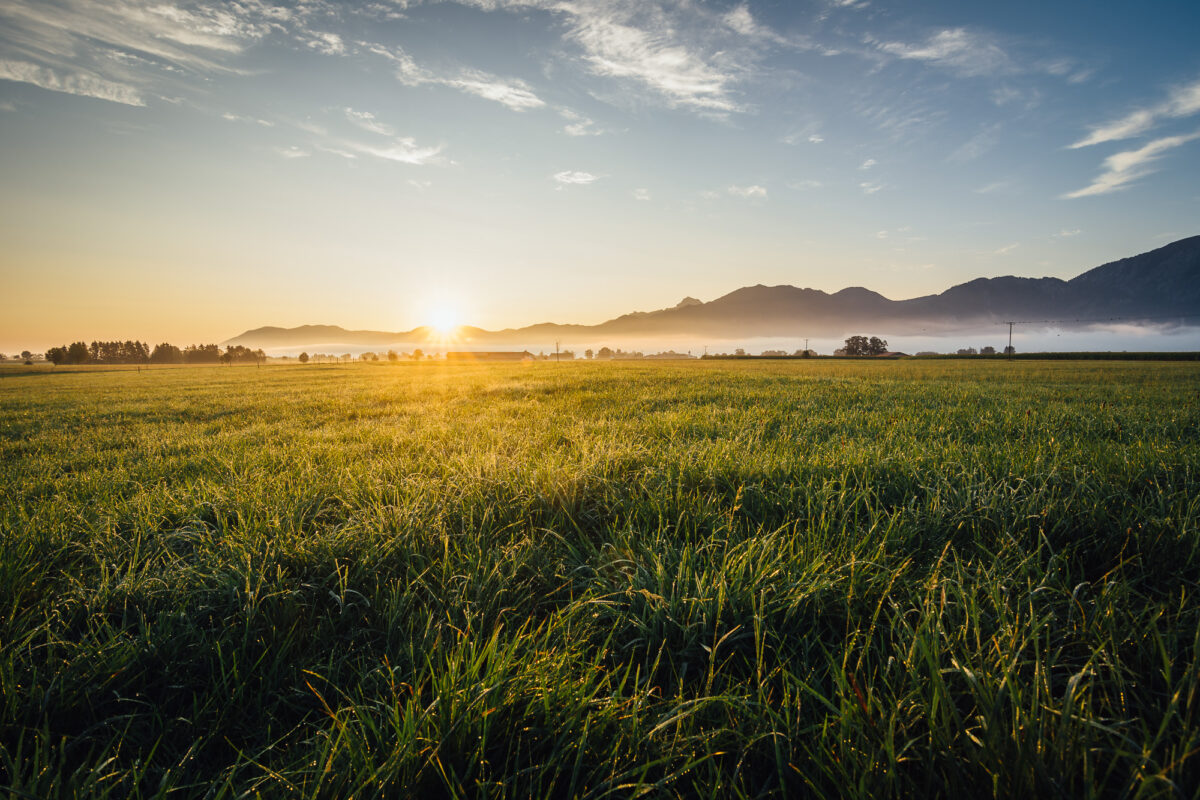 Sonnenaufgang in Kochel im Sommer