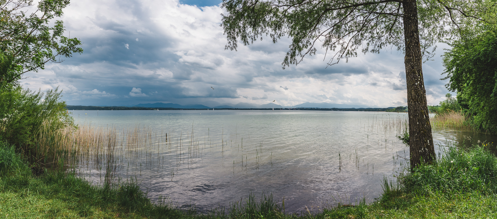 Sommer­gewitter