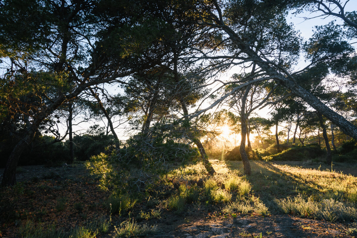 Mallorca - Cap Ses Salines