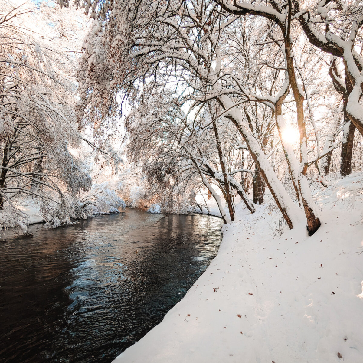 Eingeschneite Landschaft mit Fluss