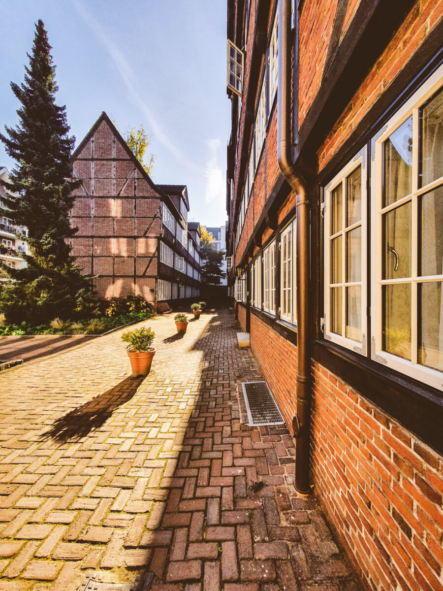 Historische Fachwerkhäuser an einem sonnigen Kopfsteinpflasterweg, umgeben von Pflanzen und blauem Himmel.