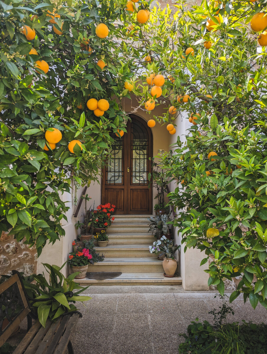 Haustür mit Treppe, umgeben von Orangenbäumen und Blumenkübeln auf beiden Seiten.