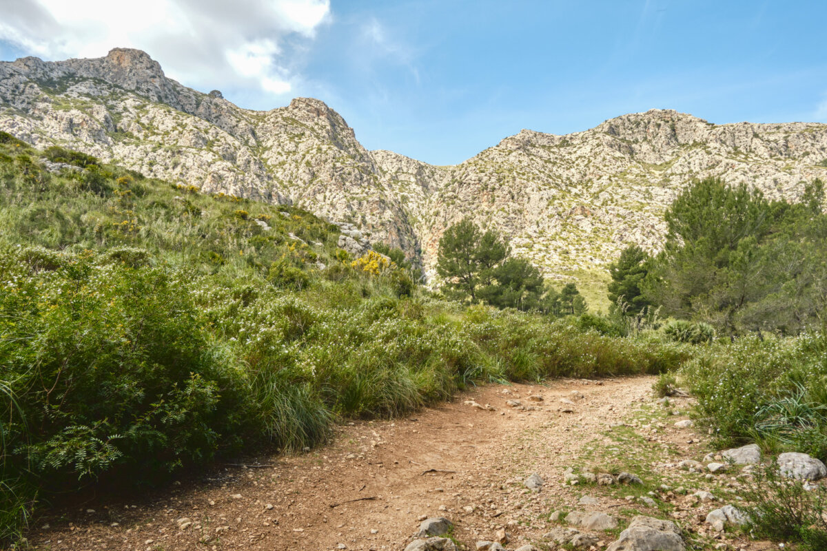Wanderweg in einer grünen, bergigen Landschaft unter blauem Himmel mit weißen Wolken.