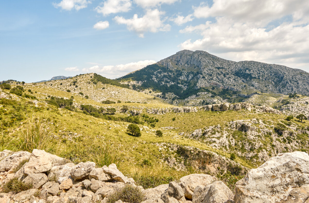 Berglandschaft mit grünem Hügel und blauem Himmel auf Mallorca, umgeben von Felsen und vereinzelten Bäumen.