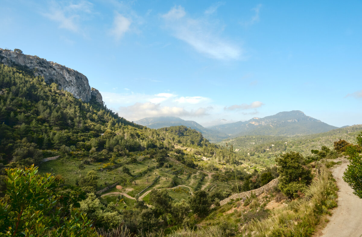 Berglandschaft mit grünem Tal, Bäumen und einem klaren blauen Himmel im Hintergrund.