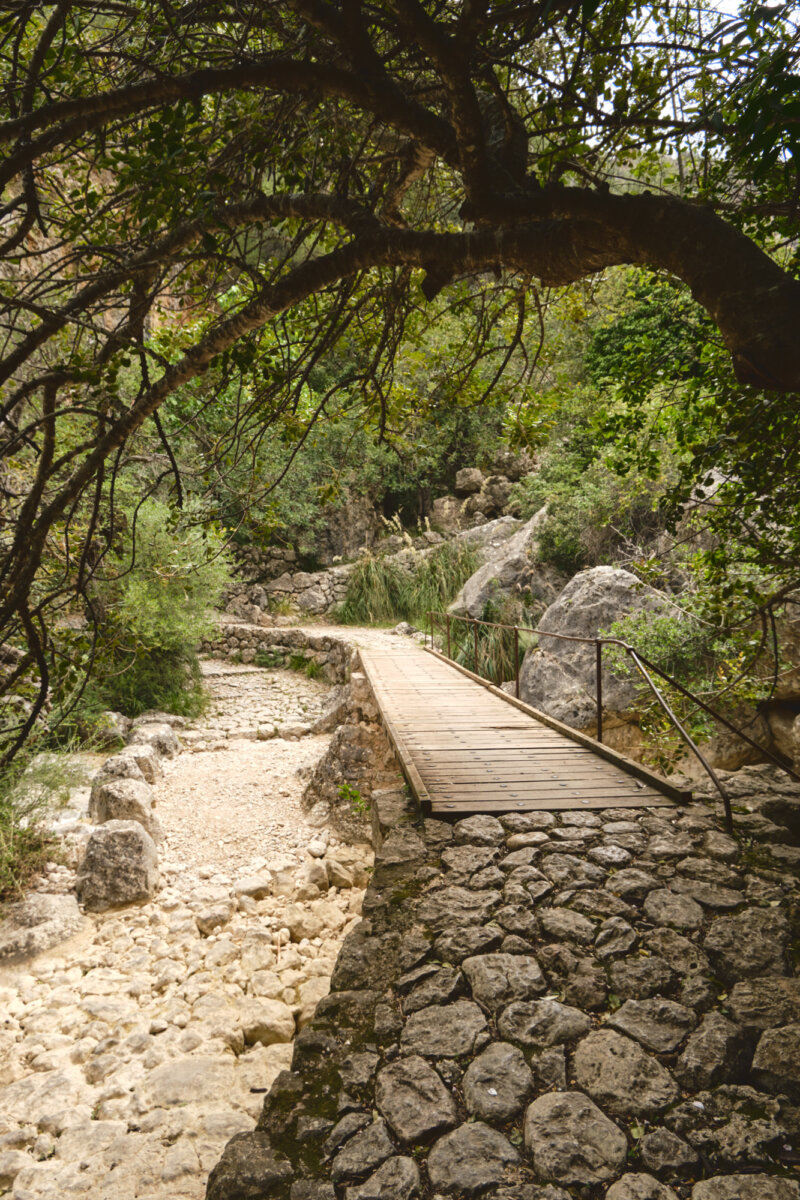 Holzbrücke über einen steinigen Pfad, umgeben von dichter grüner Vegetation in einer ruhigen, natürlichen Umgebung.