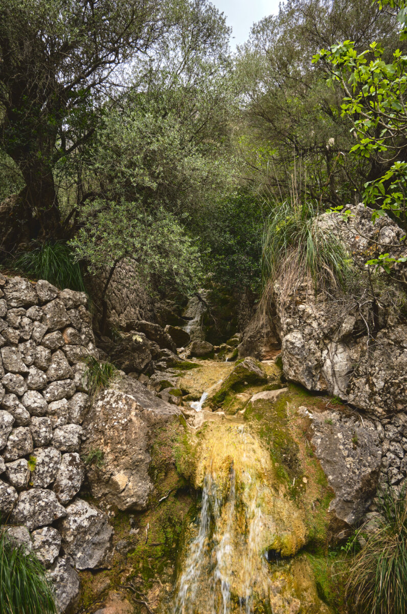 Ein kleiner Wasserfall fließt über moosbedeckte Felsen, umgeben von üppigen Bäumen und Sträuchern.