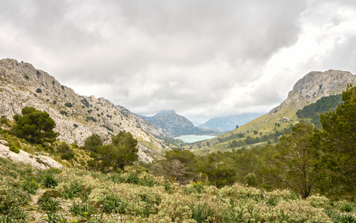 Berglandschaft mit wolkenverhangenem Himmel, grünen Hügeln und einem See in der Ferne, umgeben von Felsen und Vegetation.