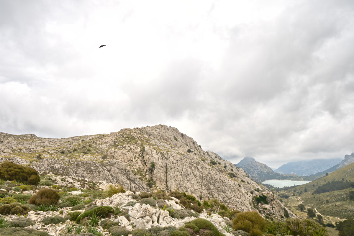 Felsenlandschaft mit bewölktem Himmel, einem fliegenden Vogel und einem See in der Ferne.