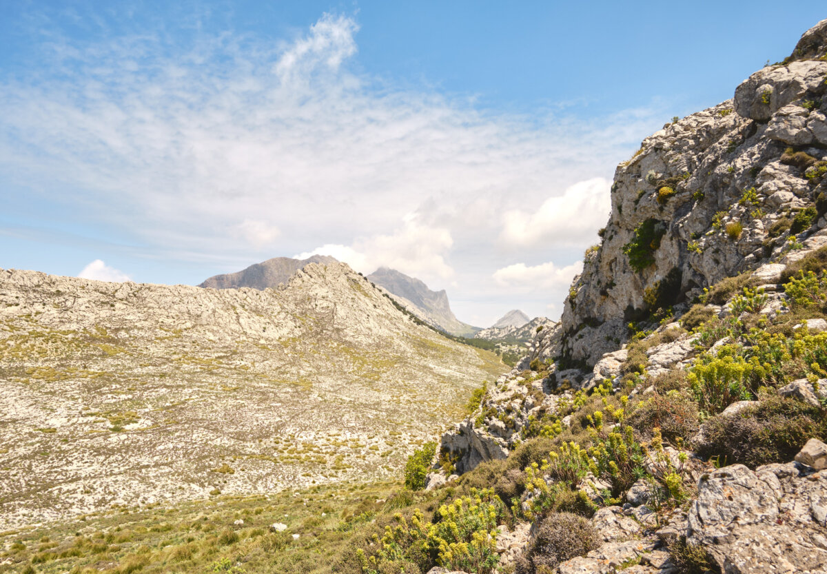 Felsige Landschaft mit Bergen im Hintergrund und blauem Himmel, umgeben von grüner Vegetation, unter leicht bewölktem Himmel.