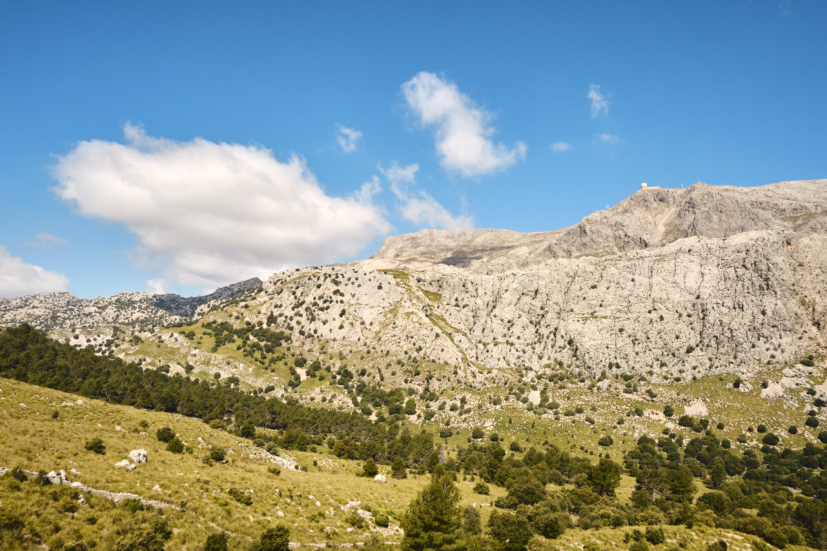Grüne Berglandschaft unter blauem Himmel mit weißen Wolken in der Serra de Tramuntana, Mallorca.
