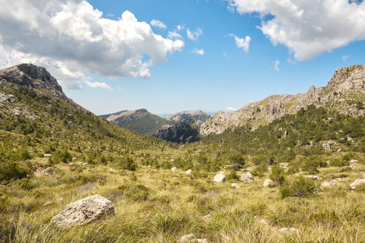 Berglandschaft mit Wiesen und bewaldeten Hügeln unter blauem Himmel und Wolken. Naturpanorama im Sonnenlicht.