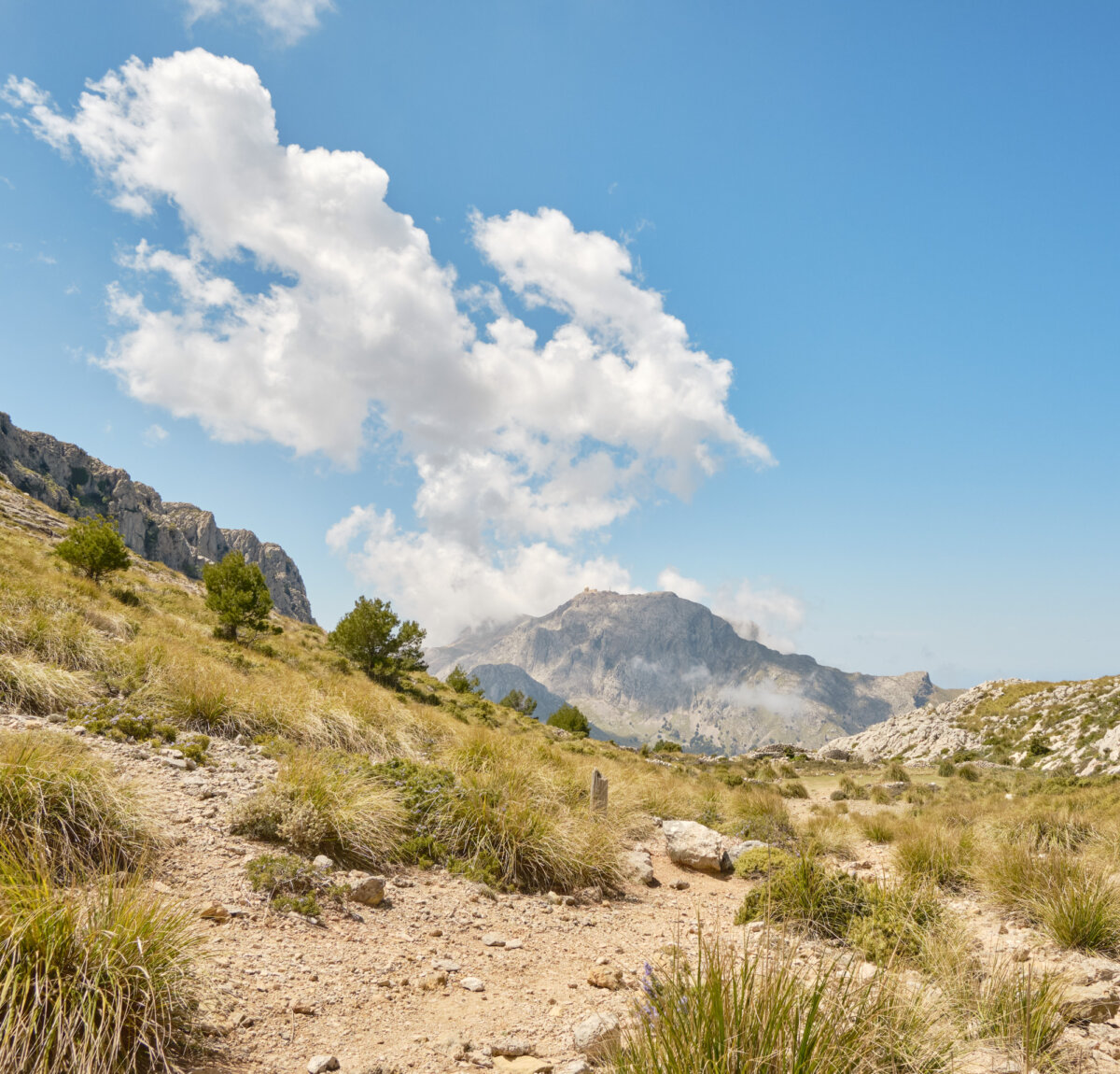Berglandschaft mit blauem Himmel und weißen Wolken, grüne Gräser und steiniger Pfad im Vordergrund.