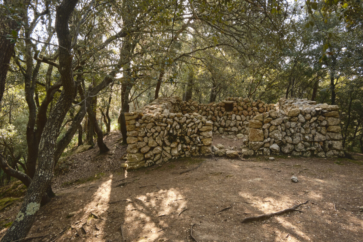 Steinruine im Wald, umgeben von Bäumen und Sonnenlicht, das durch die Äste scheint.