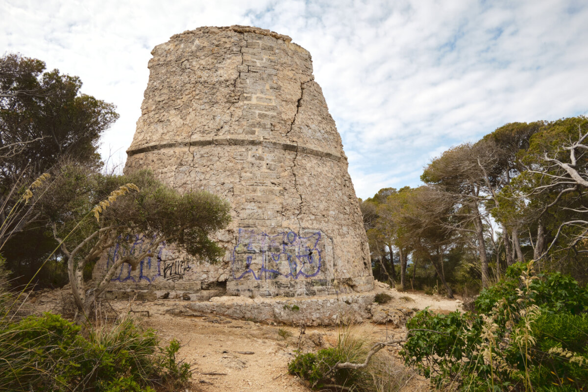 Alter Turm mit Graffiti inmitten von Bäumen und bewölktem Himmel. Spuren der Verwitterung sind sichtbar.