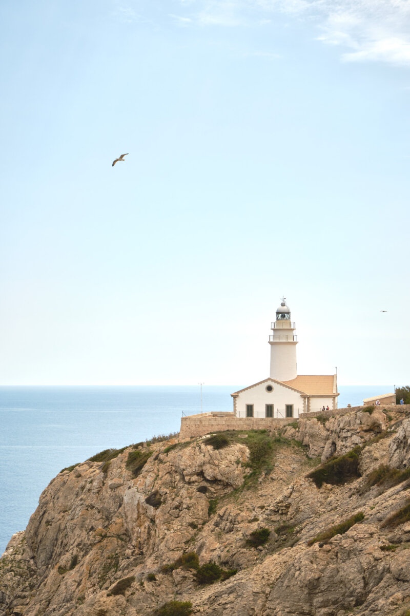 Leuchtturm auf felsiger Klippe mit Blick auf das Meer, Möwe fliegt darüber im klaren Himmel.