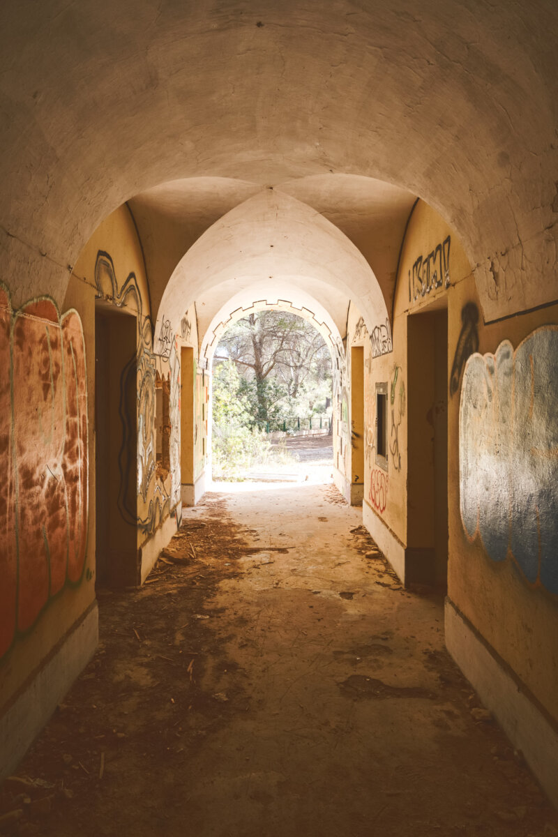 Verlassener Tunnel mit Graffiti, der zu einem sonnigen Waldweg führt.