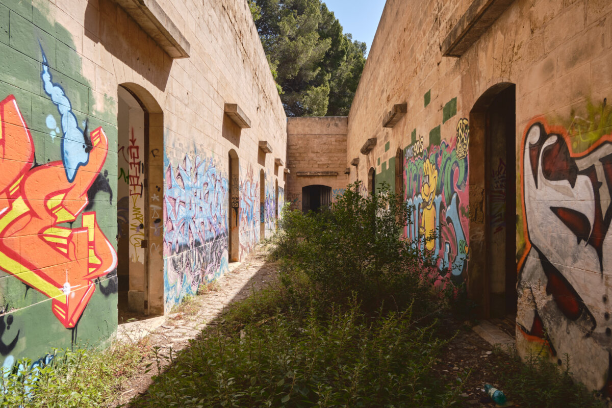 Verlassene Gasse mit buntem Graffiti an den Wänden und überwuchernden Pflanzen, unter klarem Himmel und Bäumen im Hintergrund.