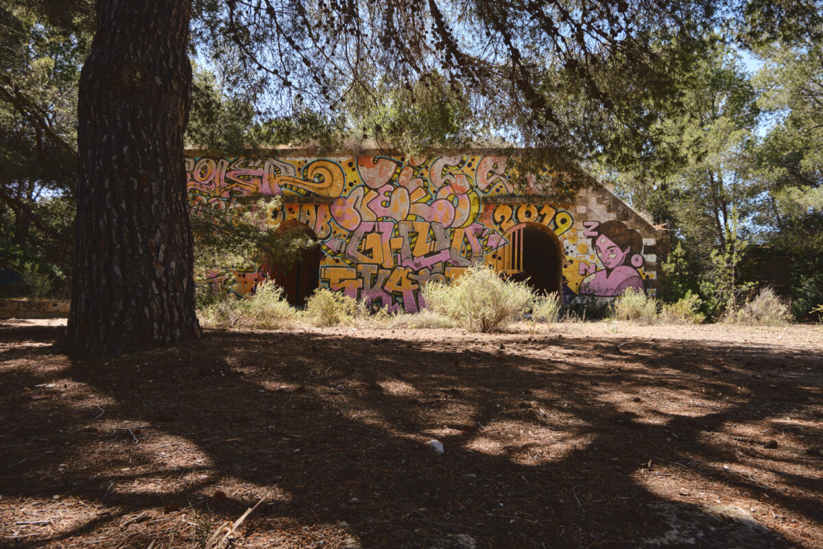 Verlassenes Gebäude im Wald mit buntem Graffiti an der Wand, darunter Muster und ein Porträt einer Person.