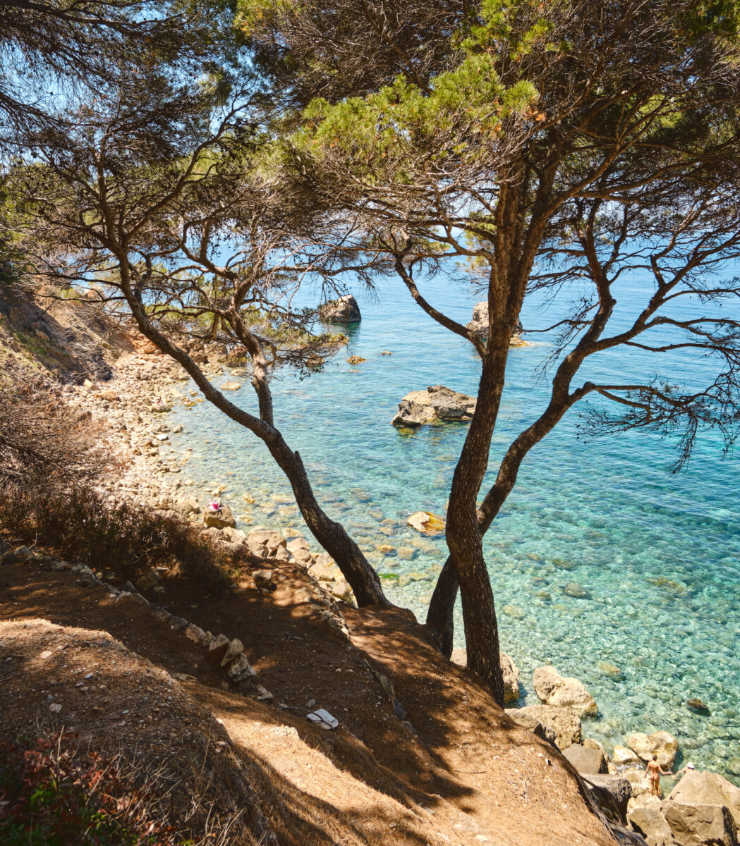 Küste mit klar blauem Wasser und Bäumen, die Schatten auf den felsigen Strand werfen. Entspannte Sommerstimmung.