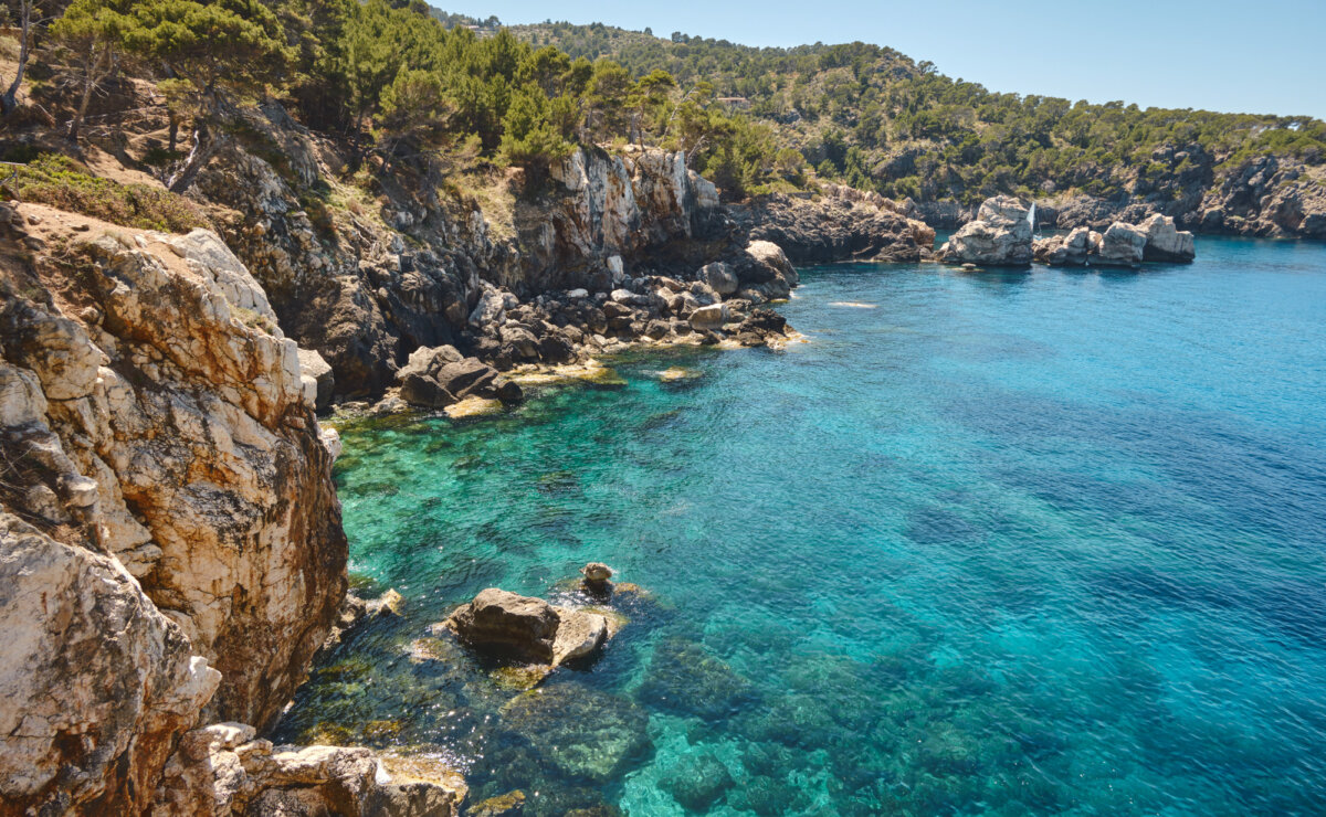 Klippen und kristallklares, türkisfarbenes Wasser an einer Küste mit üppiger Vegetation und klarem Himmel.