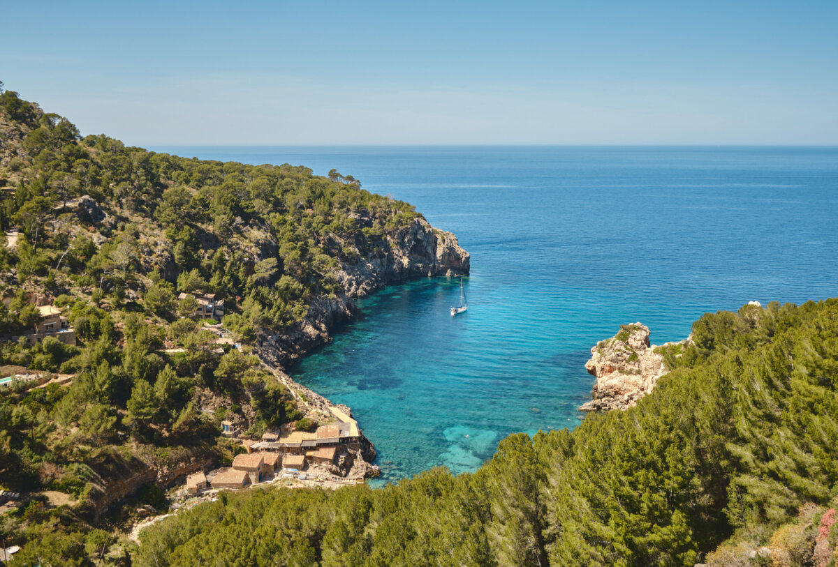 Bucht auf Mallorca mit klarem blauem Wasser, umgeben von dichter Vegetation und einem Segelboot in der Mitte.
