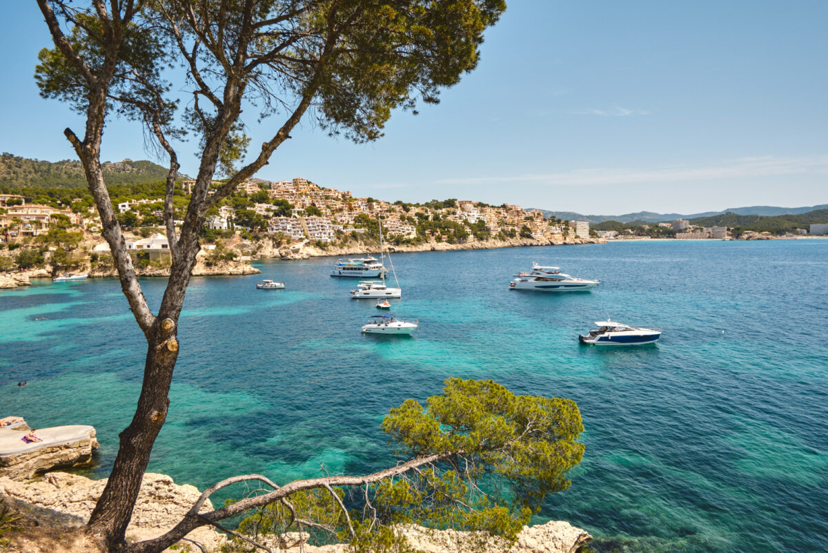 Küste mit Yachten vor der Küste von Mallorca, blaues Meer, Ferienhäuser und ein Baum im Vordergrund.