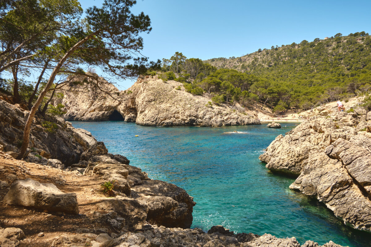 Malerische Bucht mit türkisfarbenem Wasser, umgeben von felsigen Klippen und grünen Bäumen an einem sonnigen Tag.