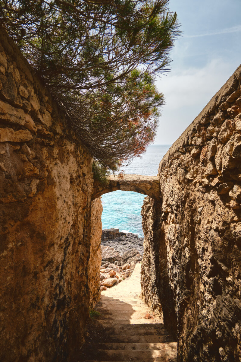 Steinerne Treppe zwischen zwei Mauern führt zum Meer, mit einem kleinen Torbogen und Kiefernästen oben.