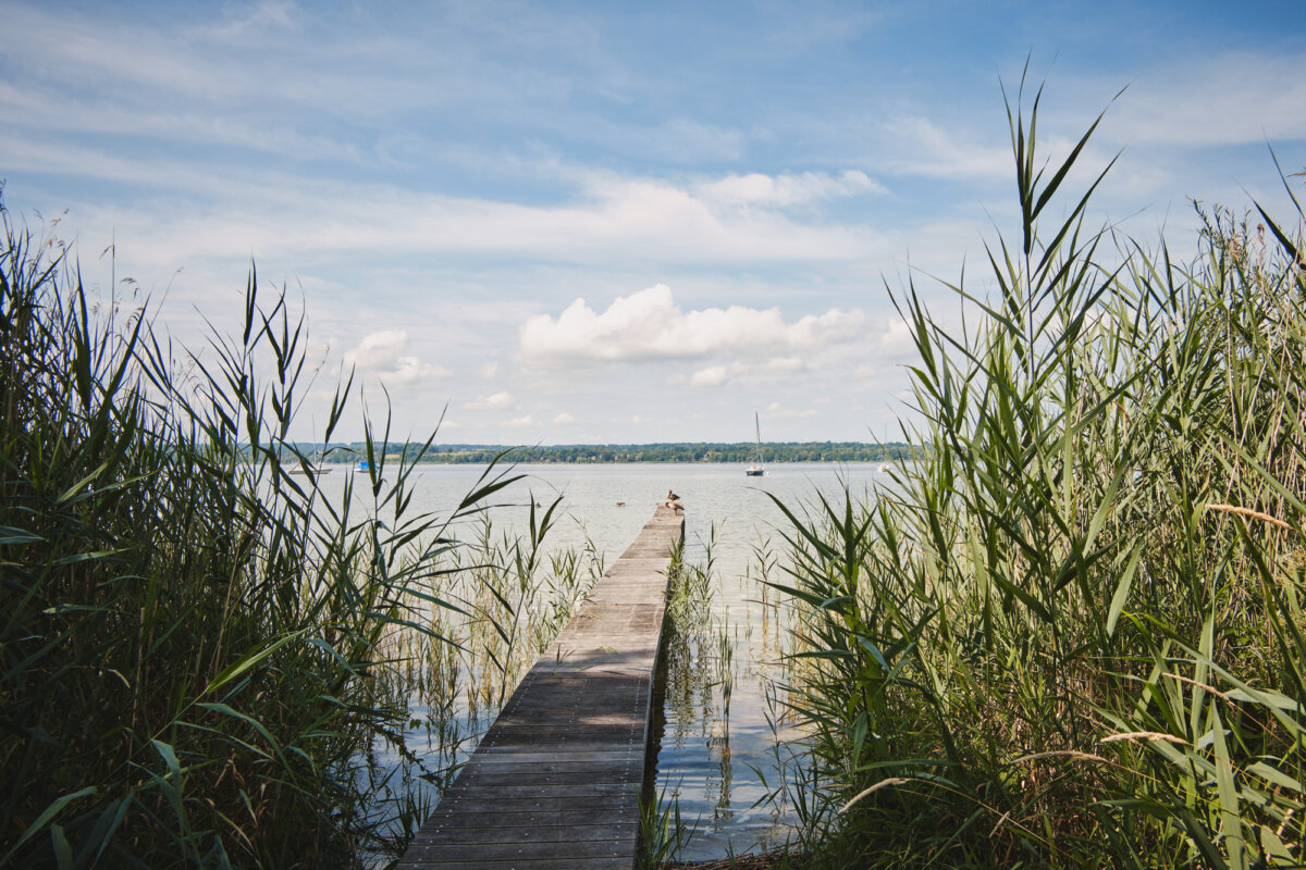 Steg am See mit Enten