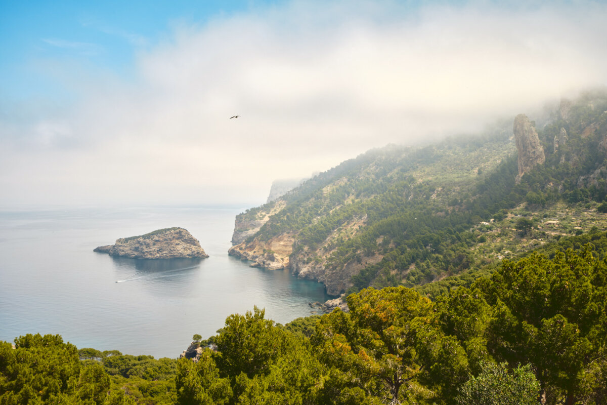 Küste mit bewaldeten Klippen und Insel im Meer, teils im Nebel. Ein Vogel fliegt über die Szenerie.