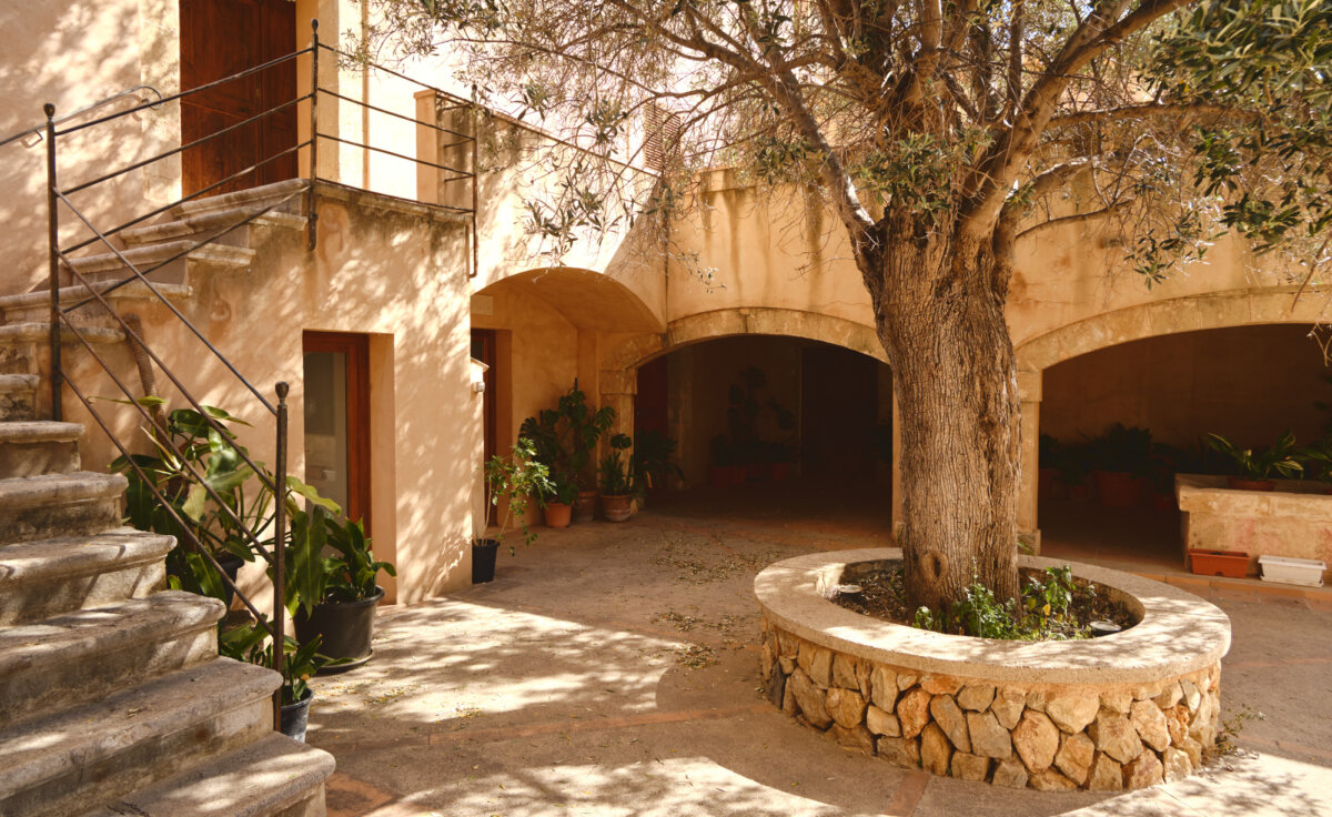 Mediterraner Innenhof mit zentralem Baum, umgeben von Topfpflanzen und Treppen, die zu einem Balkon führen.