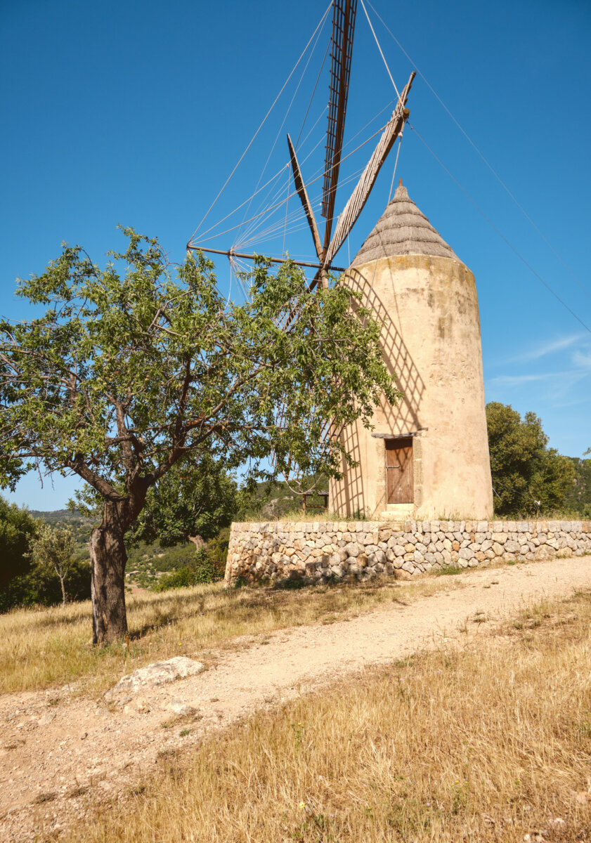 Historische Windmühle in ländlicher Landschaft mit blauem Himmel, neben einem großen Baum.