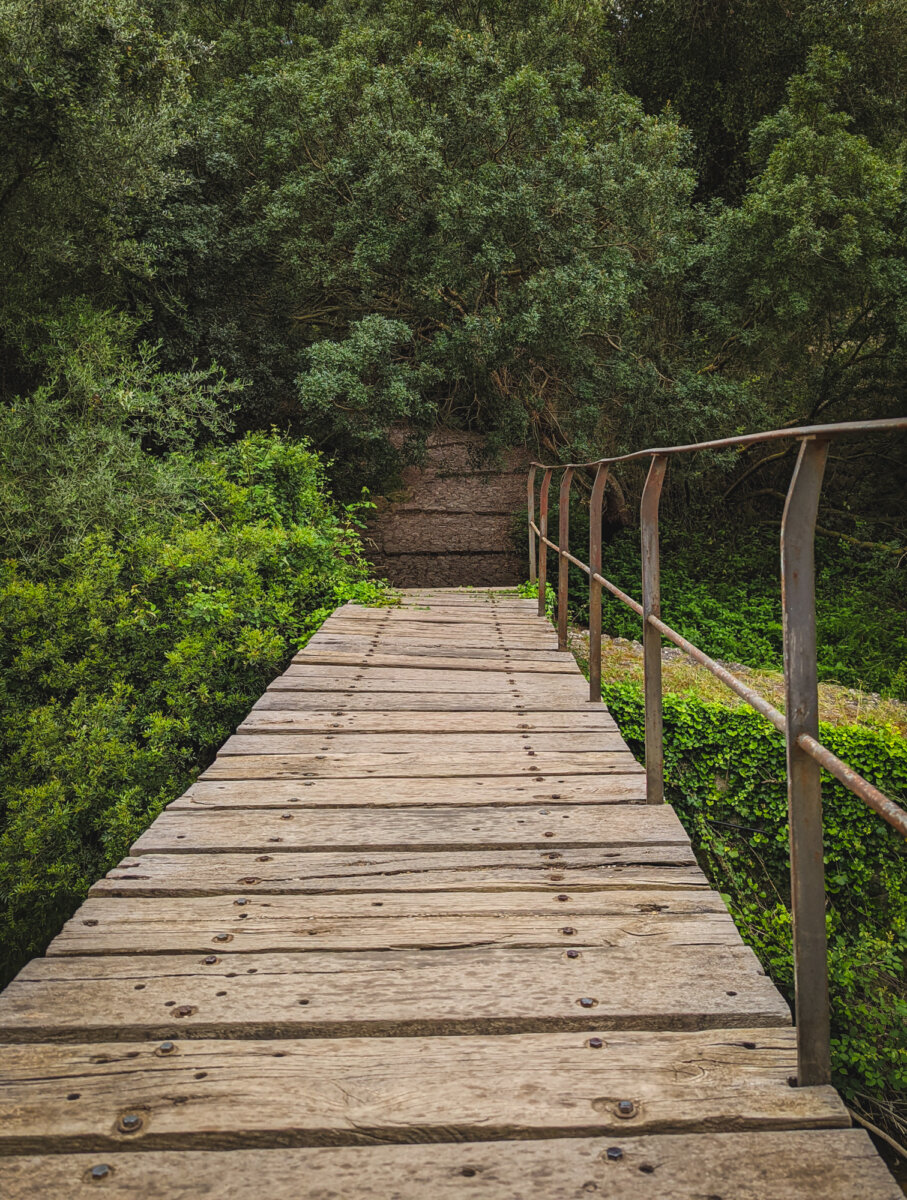 Holzbrücke führt durch dichten, grünen Wald, umgeben von üppigem Laubwerk. Rustikale Metalgeländer an den Seiten.