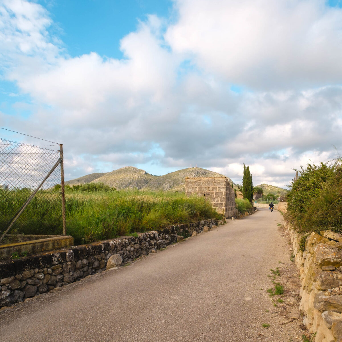 Alcudia