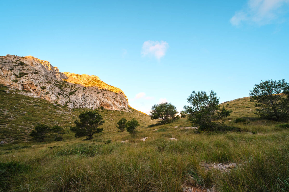 Cap Formentor