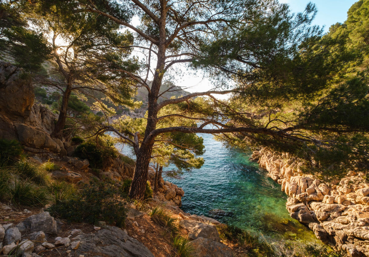 Cala en Gossalba