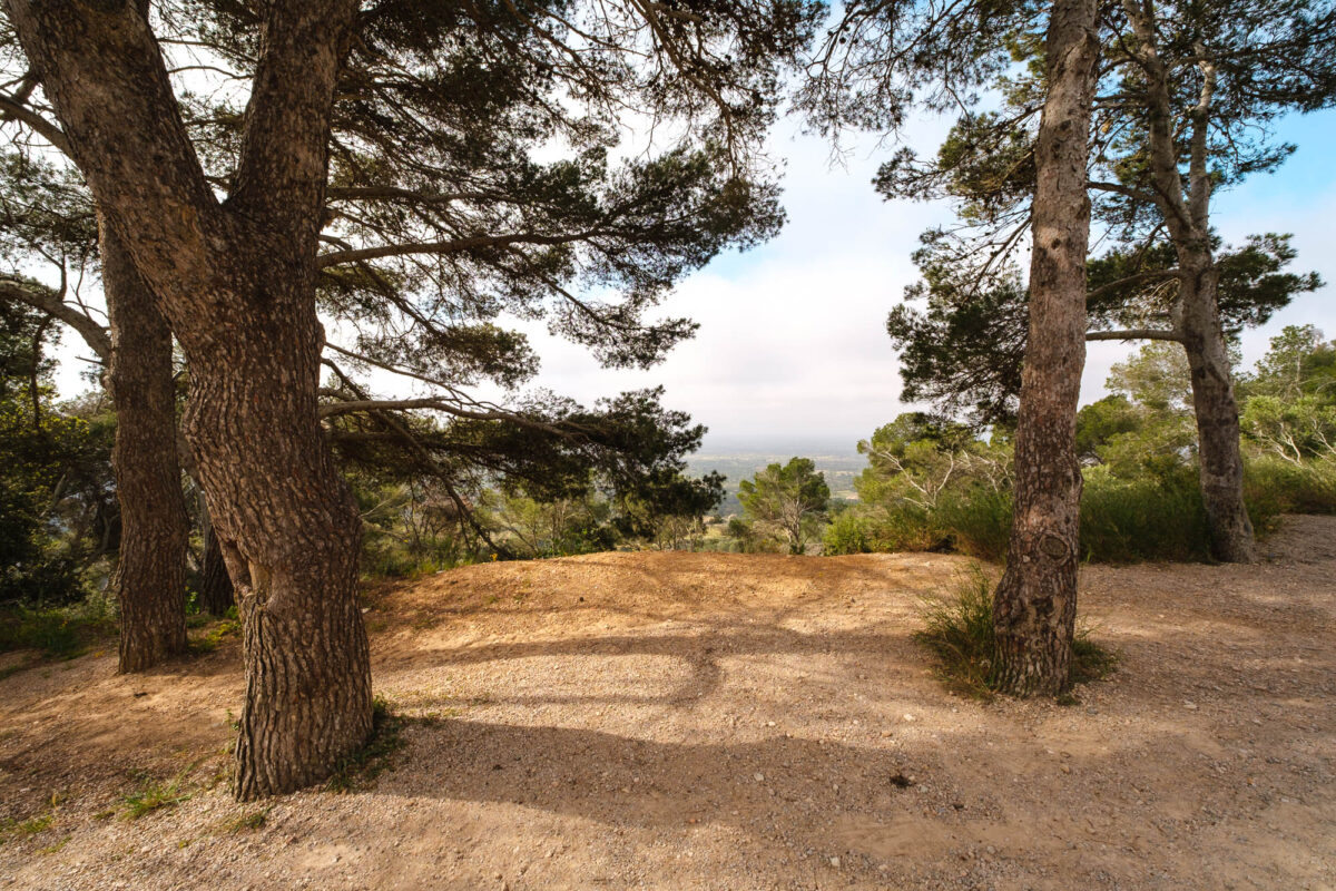 Sant Honorat