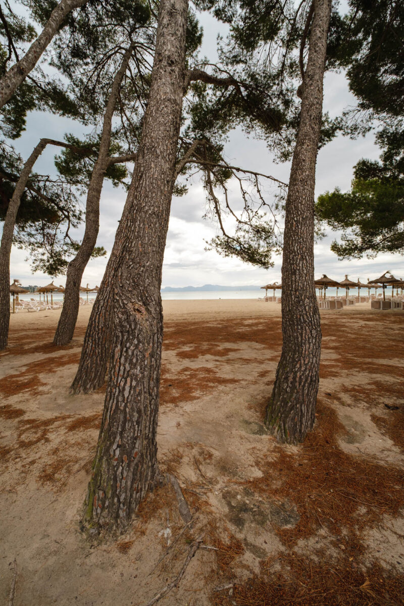 Strand Alcudia