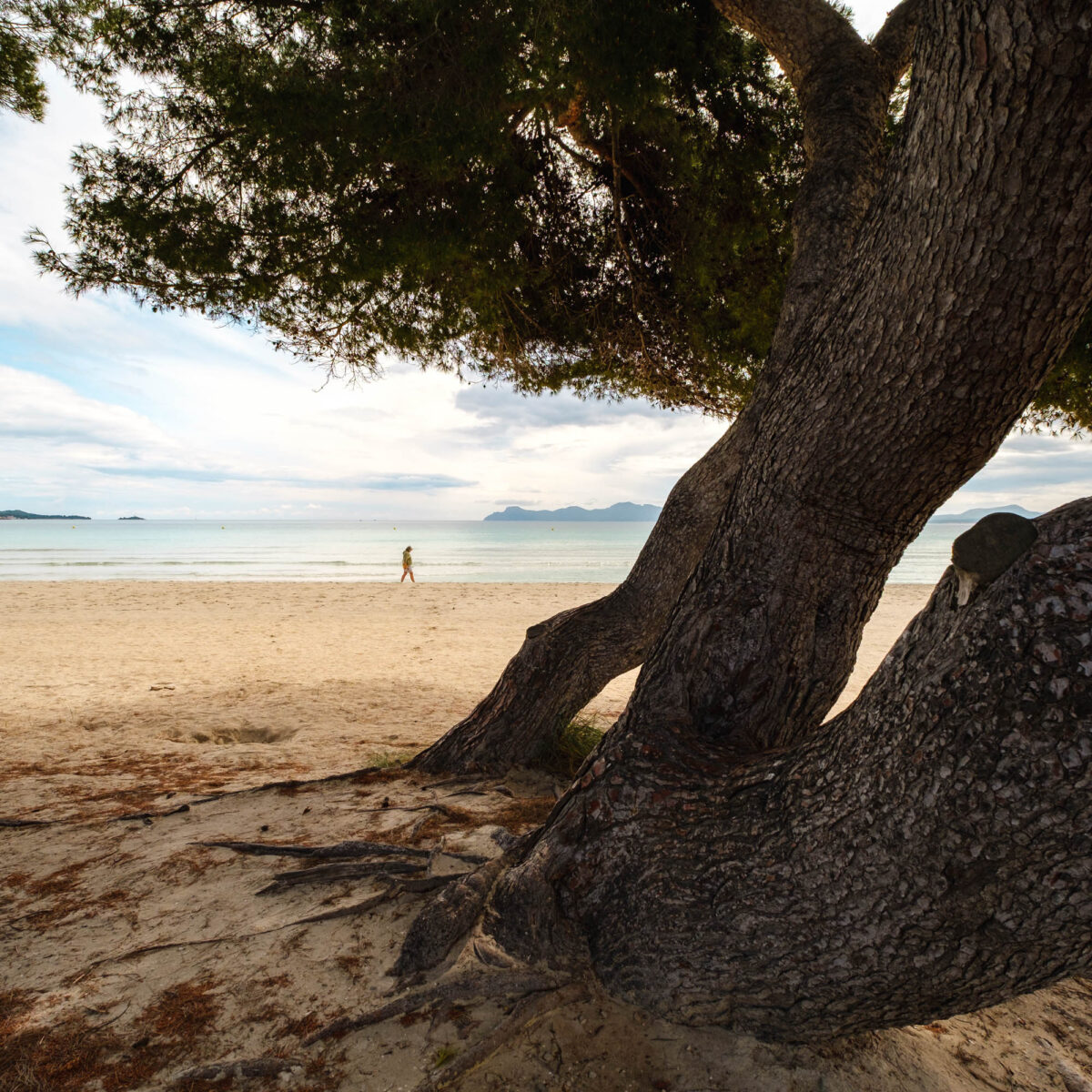Strand Alcudia