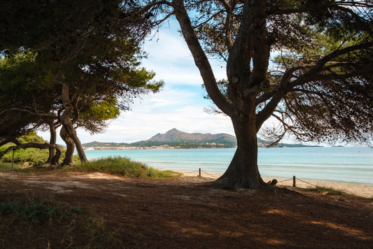 Strand Alcudia