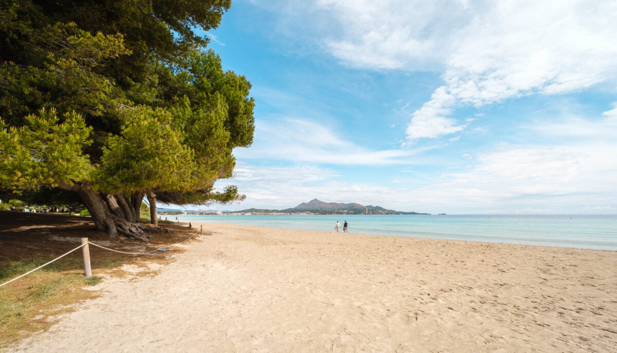 Strand Alcudia