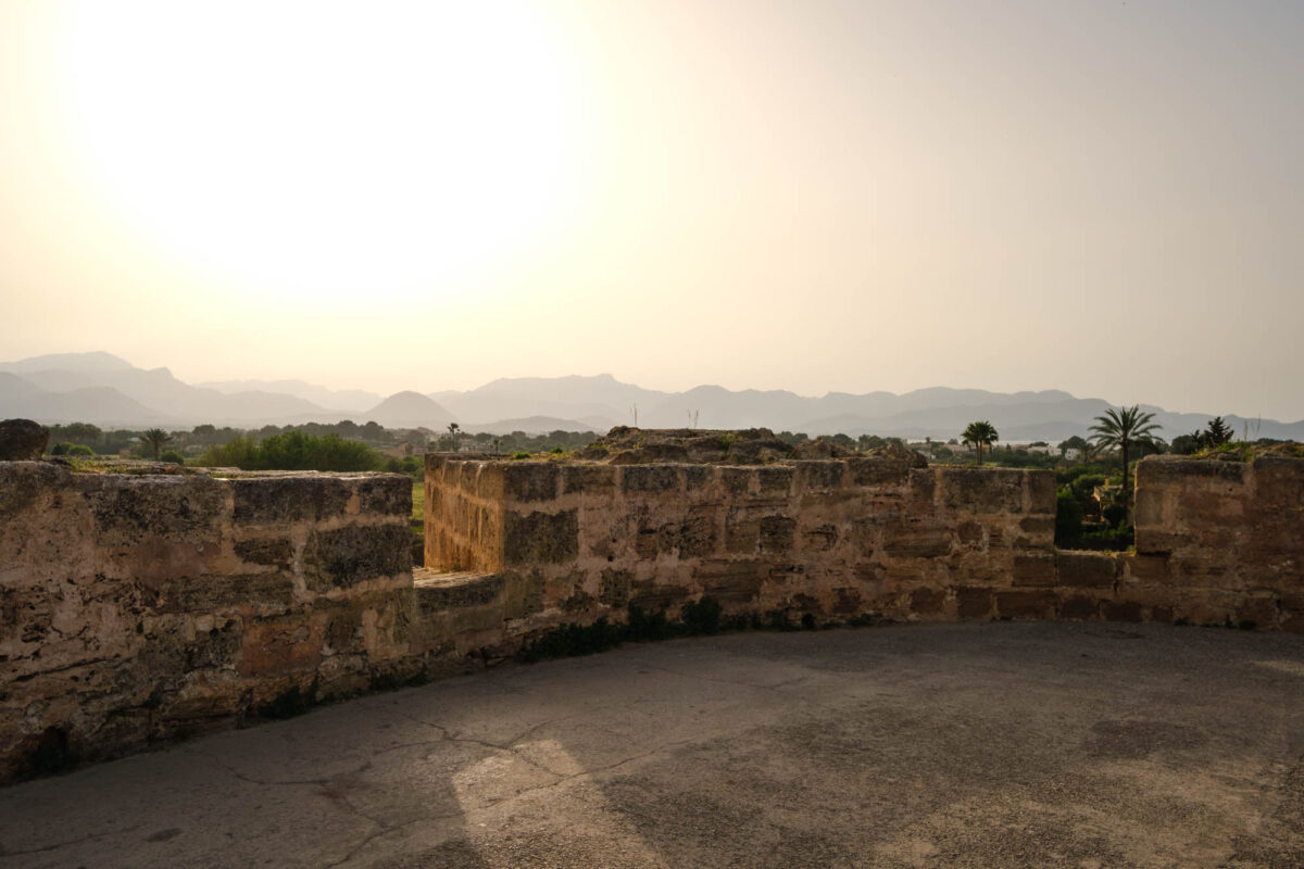 Alcudia